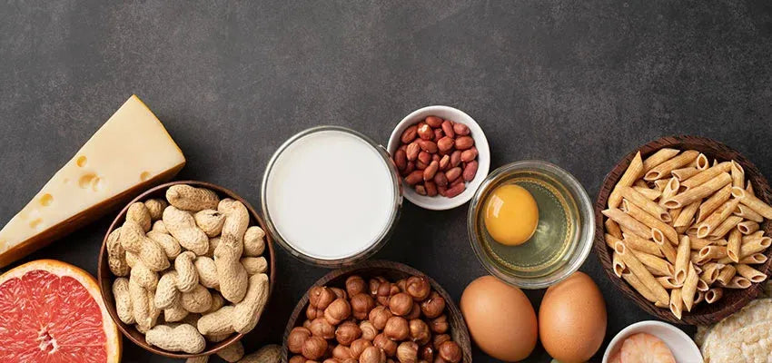 Which Protein to Take & Why at 45+ - Vansaar