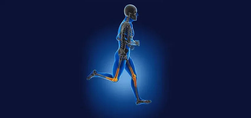 Changes in the Skeletal System due to Aging - Vansaar