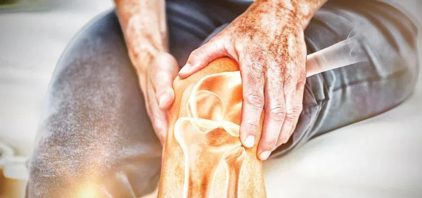 Bone problems in aging - Vansaar