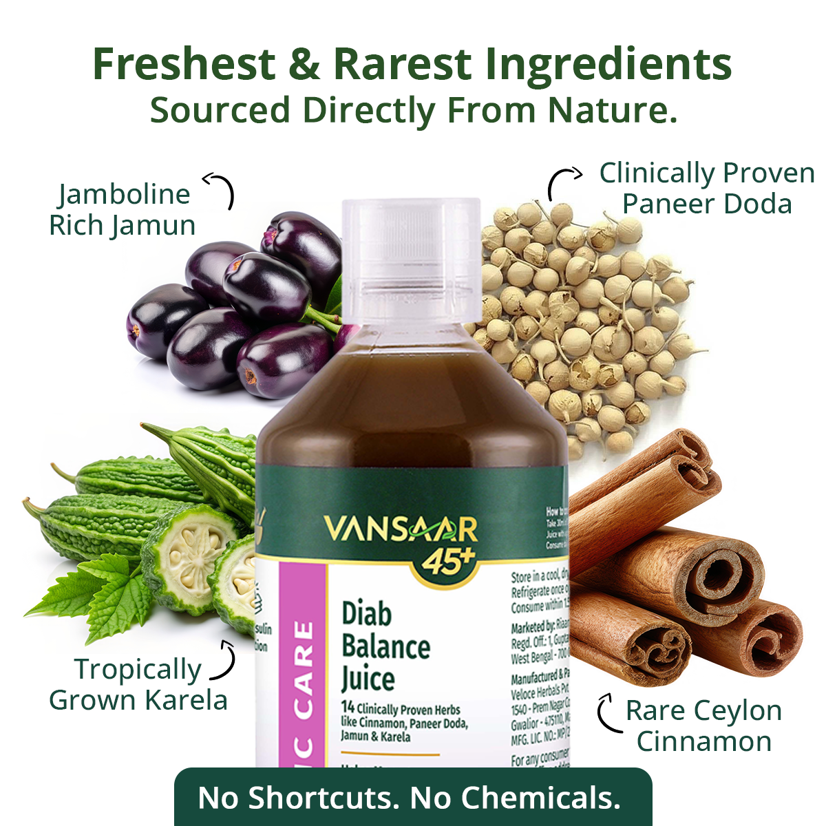 Diab Balance Juice with Paneer Doda & Cinnamon | For Blood Sugar Balance & Healthy HbA1c Levels