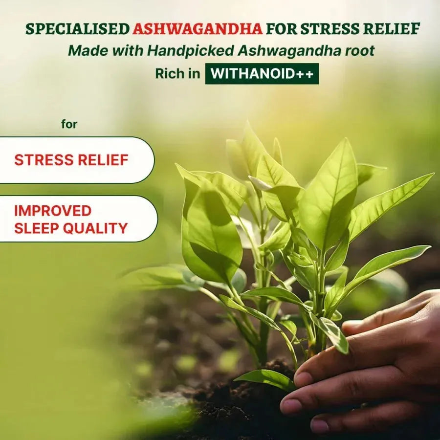 Ashwagandha Tablets For 45+ Men & Women | 4X Stress & Anxiety Relief | Better Sleep Quality | Non-Habit Forming, 100% Pure Ashwagandha With Withanoid. - Vansaar