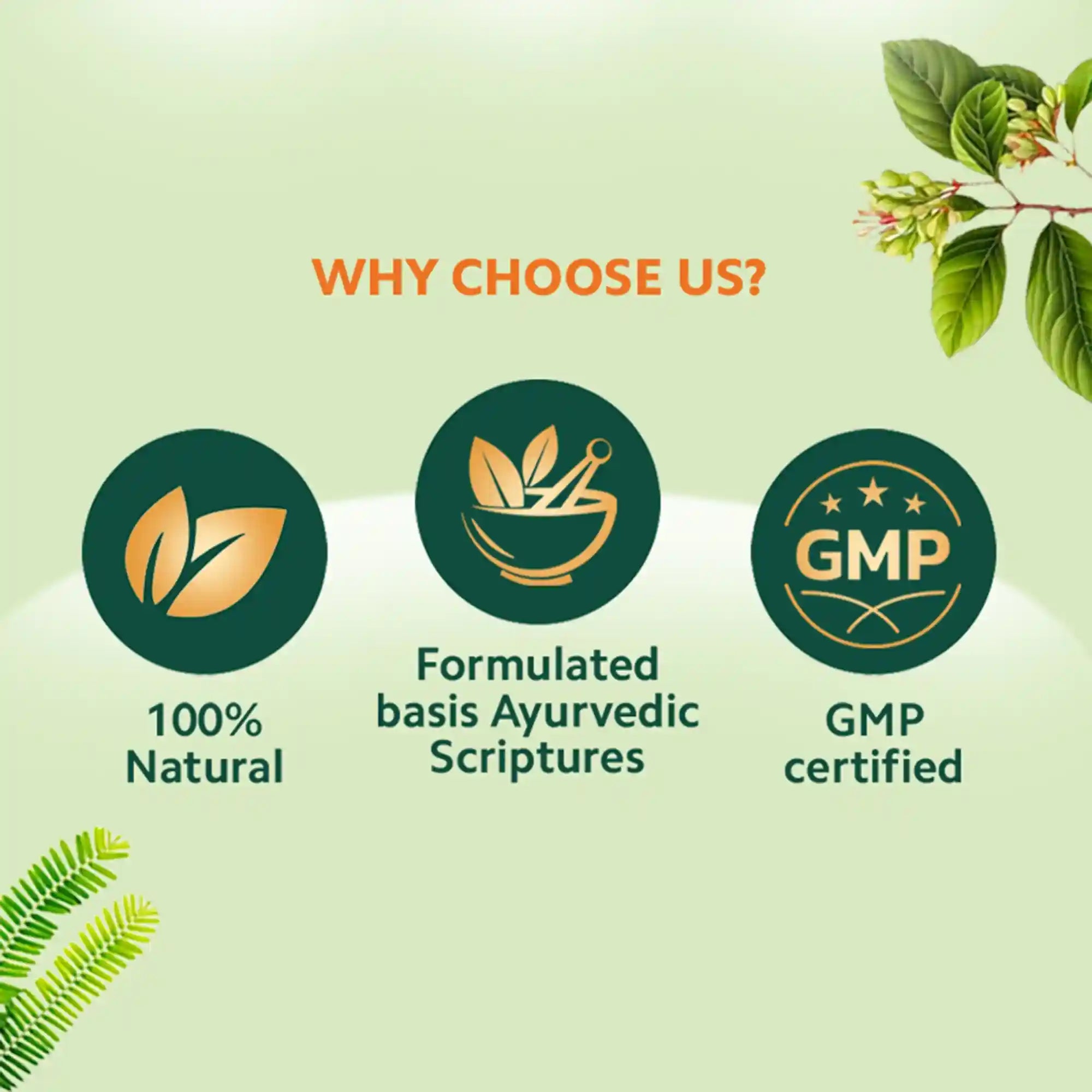 Triphala Juice | Digestive & Gut Health Solution | Constipation Relief