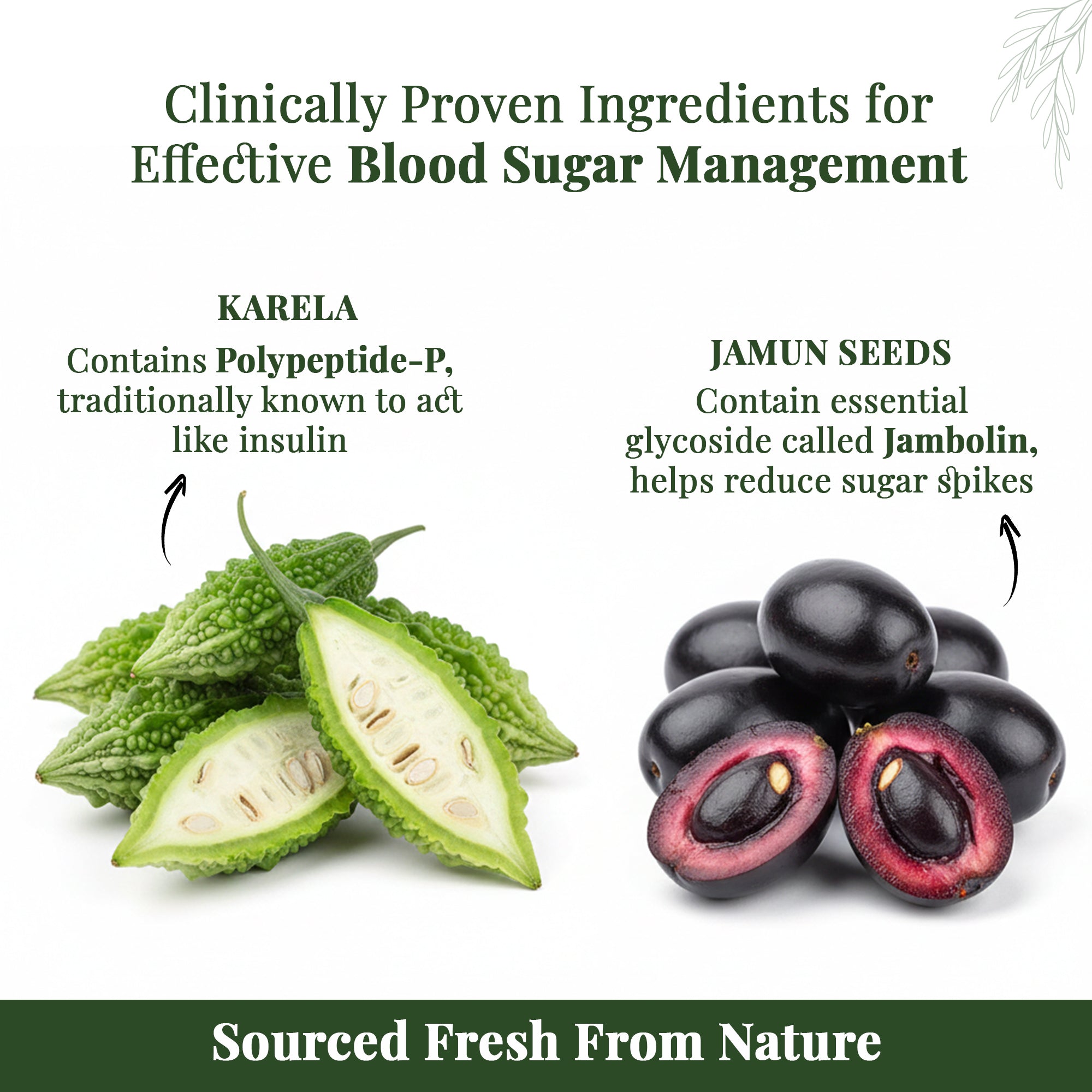 Karela & Jamun Juice | Blood Sugar Control For Prediabetics & Diabetics