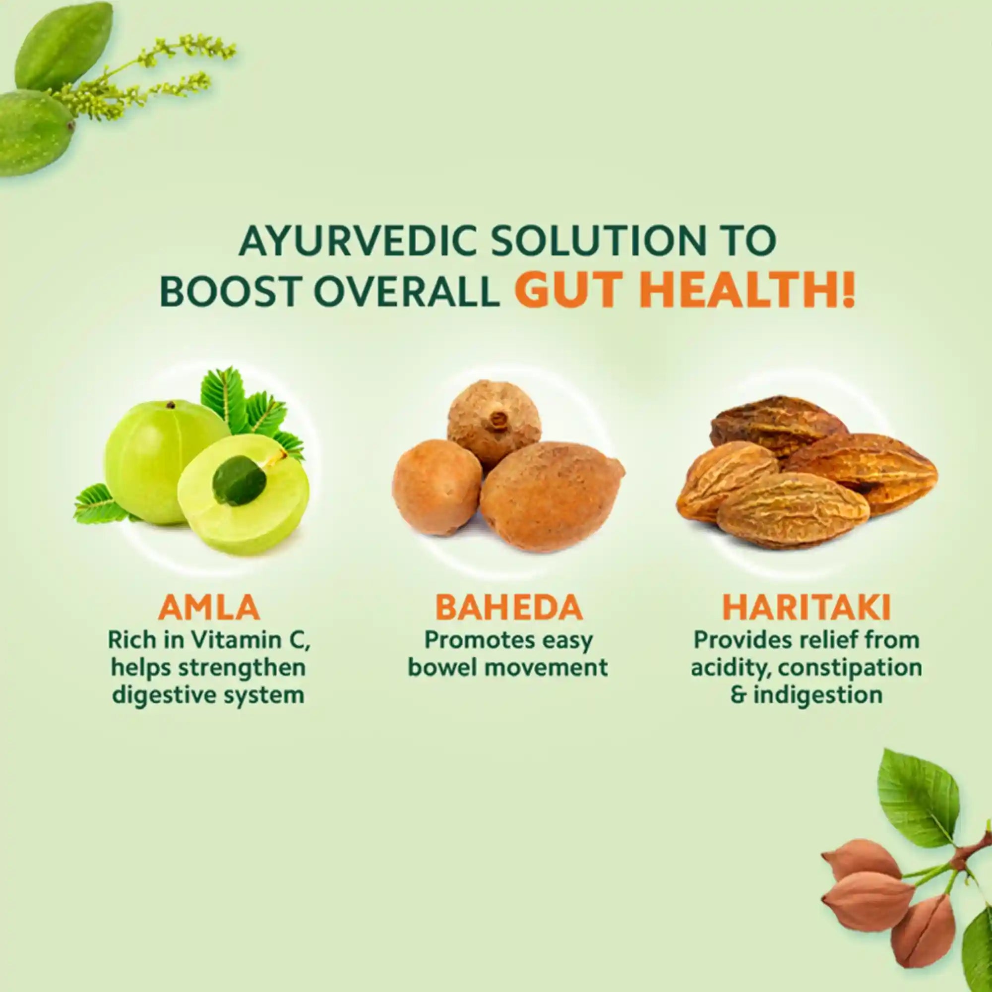 Triphala Juice | Digestive & Gut Health Solution | Constipation Relief