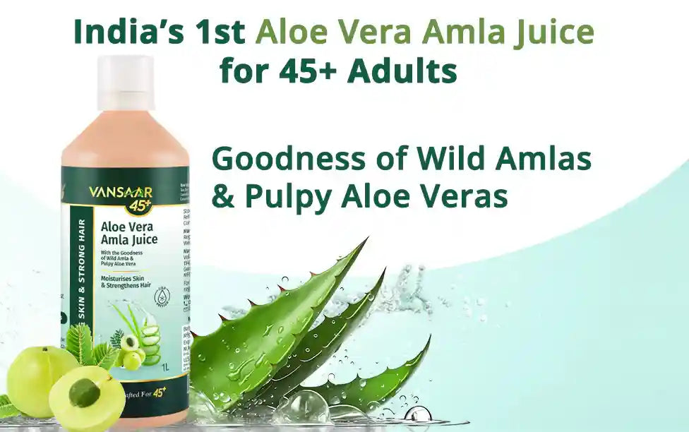 Aloe_Amla_hero - Vansaar