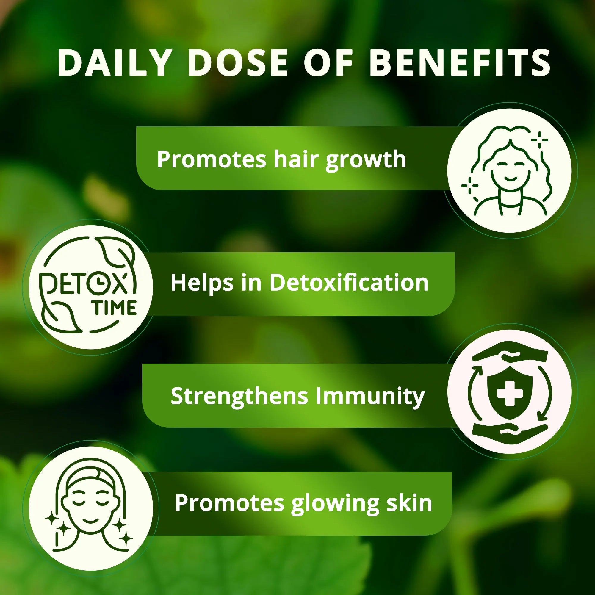 Amla Juice | 100% Cold Pressed | For Hair Growth & Detoxification | 75 Wild Amlas Per Bottle