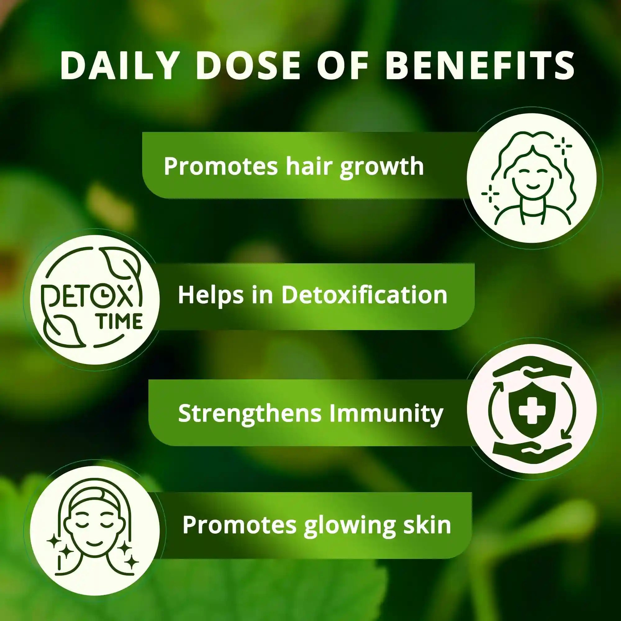 Amla Juice | 100% Cold Pressed | For Hair Growth & Detoxification | 75 Wild Amlas Per Bottle