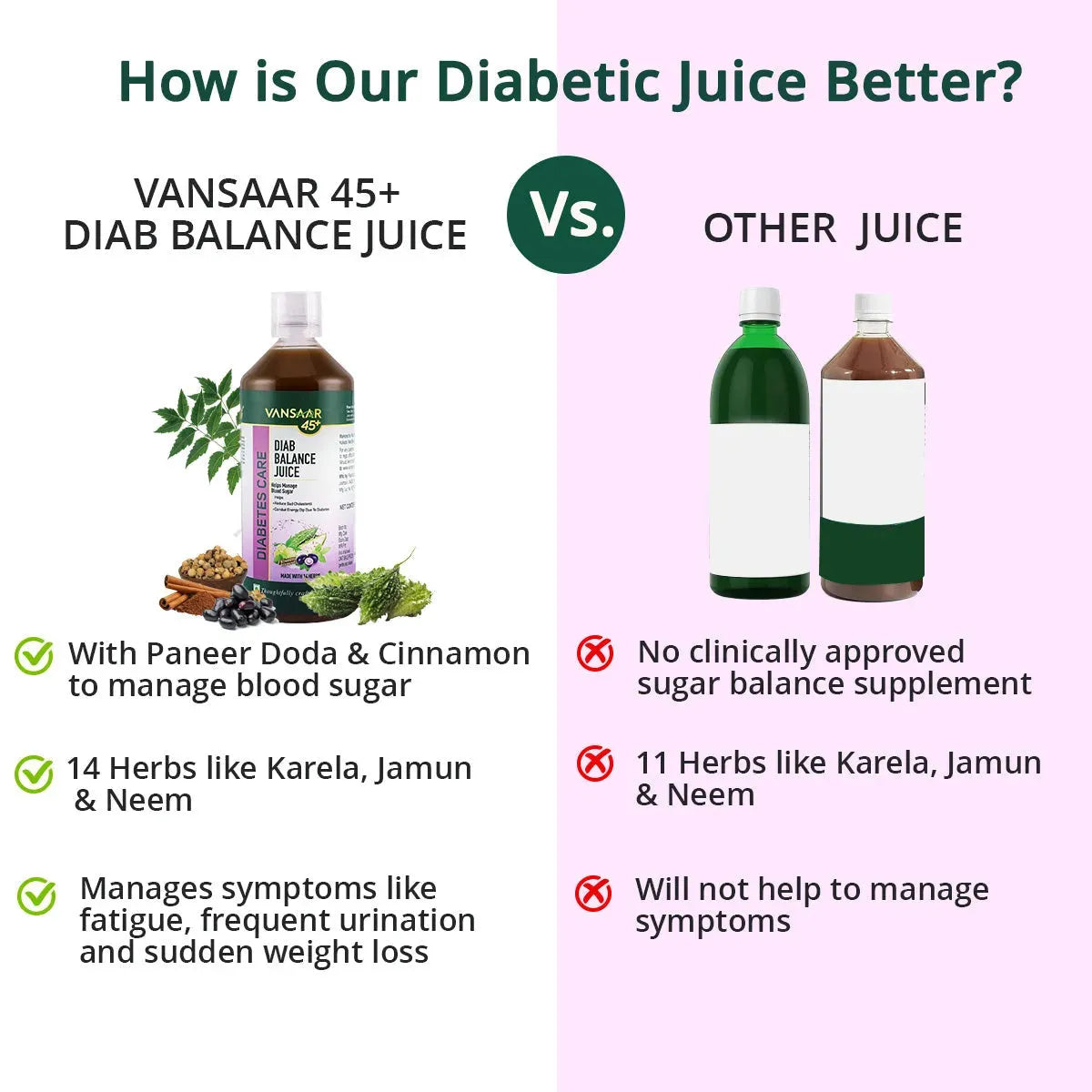 Diab Balance Juice with Paneer Doda & Cinnamon | Reduces Blood Sugar & Boosts Insulin - Vansaar