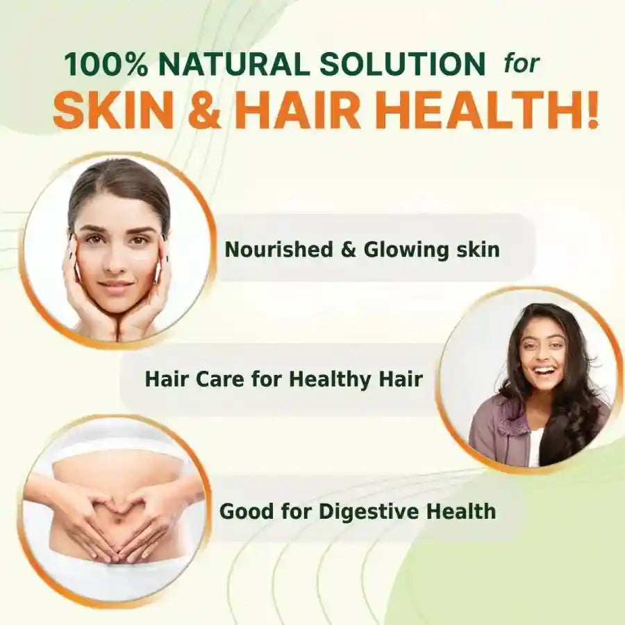 Daily Wellness Combo: Amla, Aloe Vera & Wheatgrass Juice