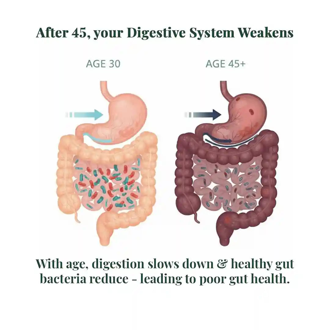 Vansaar 45+ Gut Relief (Sugar free) - 200g