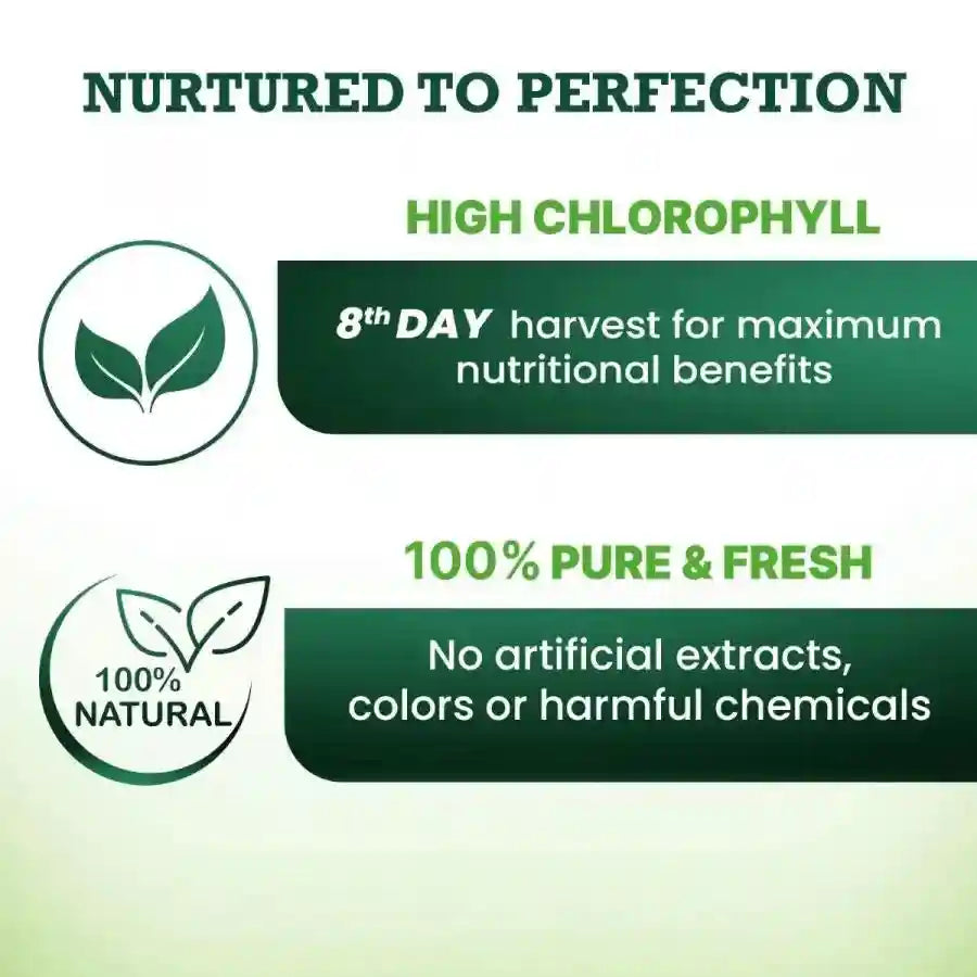 Daily Wellness Combo: Amla, Aloe Vera & Wheatgrass Juice