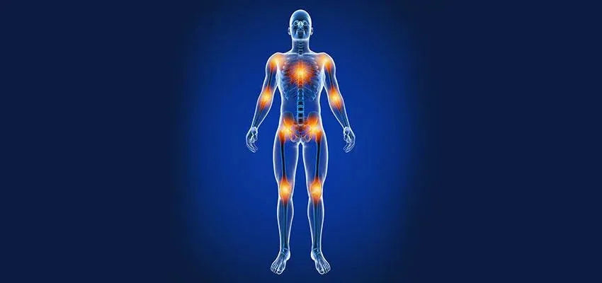 Effects of Aging on Body Systems/Functions - Vansaar