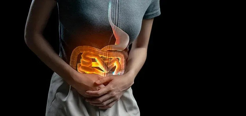 Does your Gut Health decline with age? - Vansaar