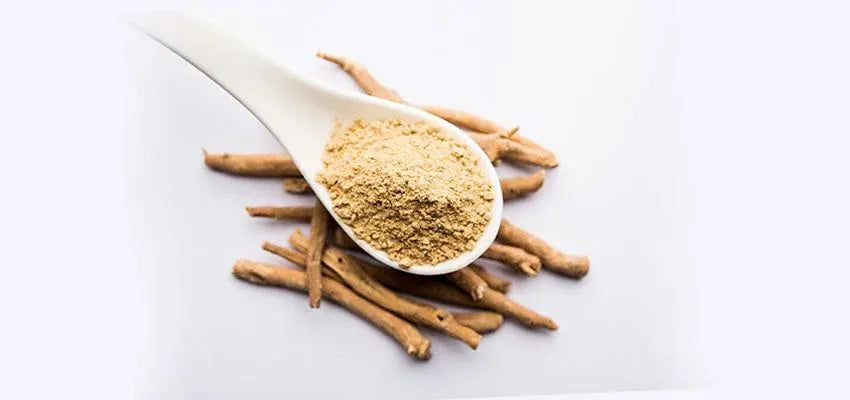 Ashwagandha- A herb for vitality for 45+ - Vansaar