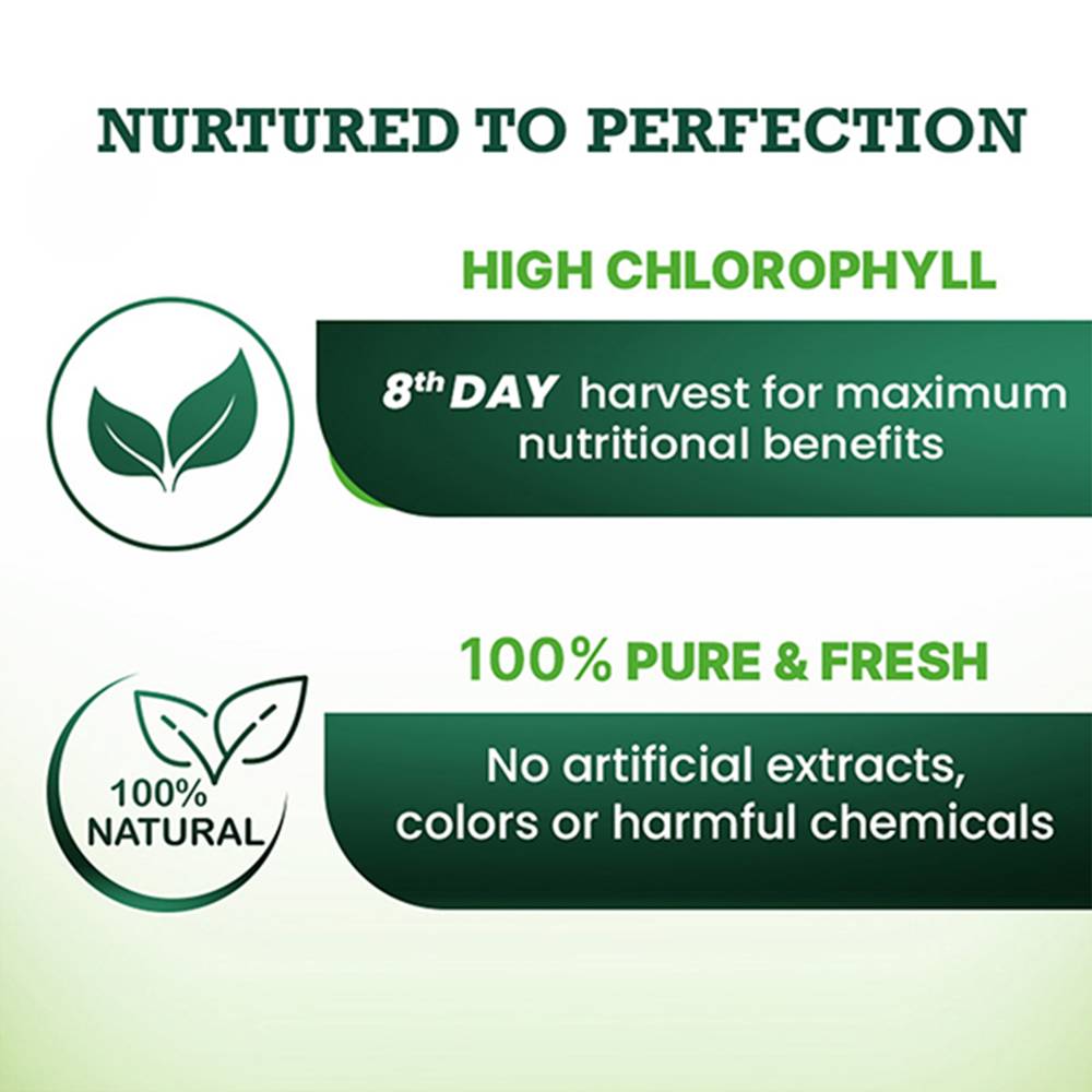 Wheatgrass Juice | Natural Liver Detoxifier & Gut Cleanser Juice | Superfood Enriched Juice For Weight & Cholesterol Management | 8th Day Harvest For Maximum Nutrition