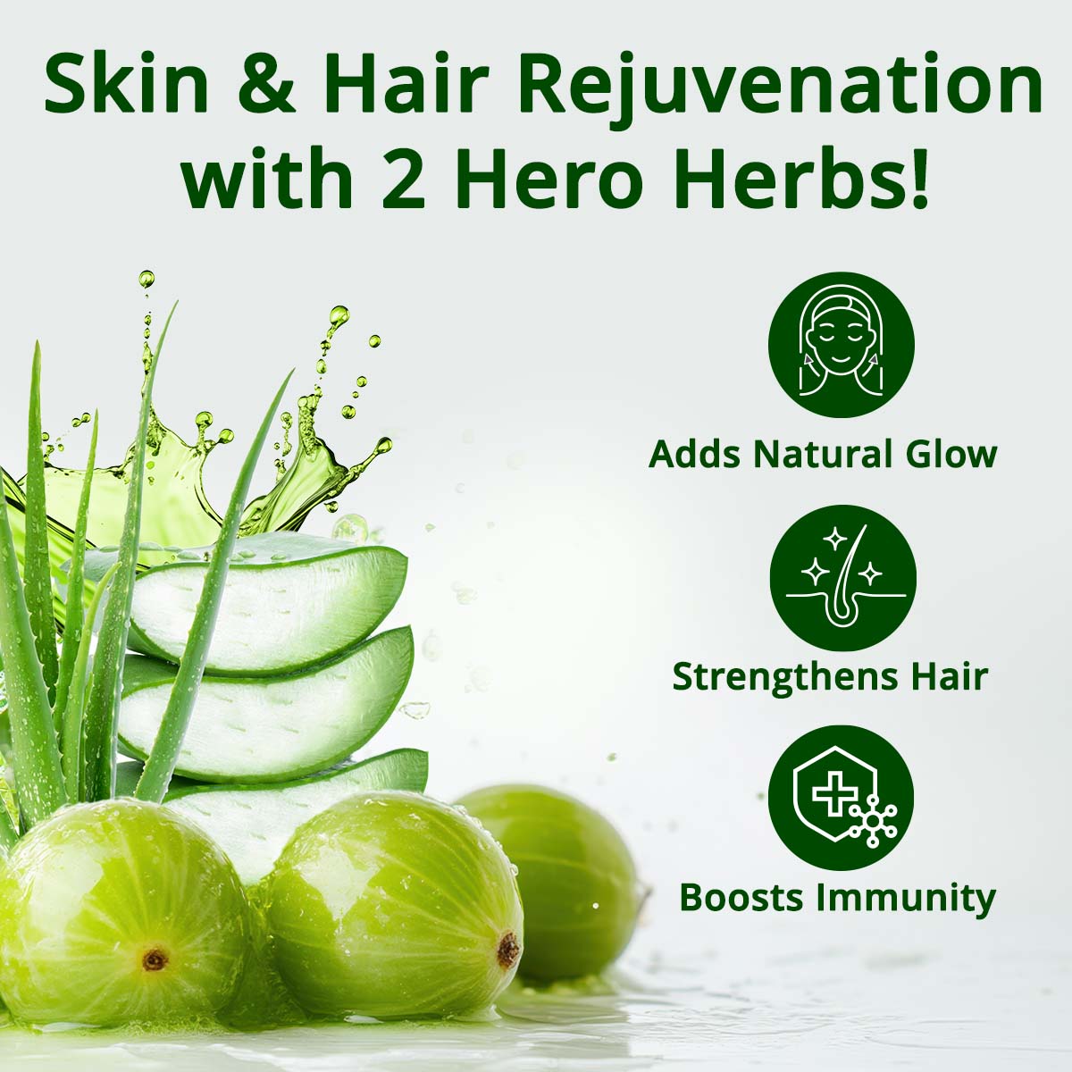 Aloe Vera Amla Juice for 45+ Adults | 100% Cold Pressed Harvested in 24 Hours