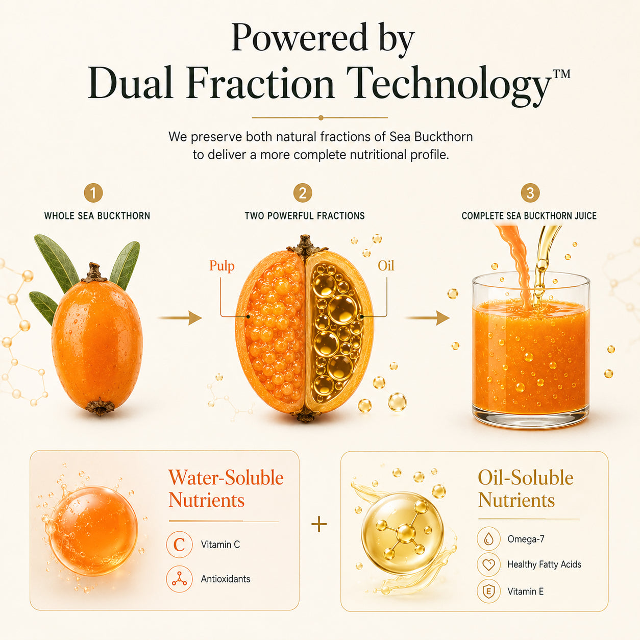[Pre-Order Registeration] Vansaar 45+ Dual Fraction Sea Buckthorn Juice | Whole Fruit Nutrition with Omega-7 Oil and Vitamin C