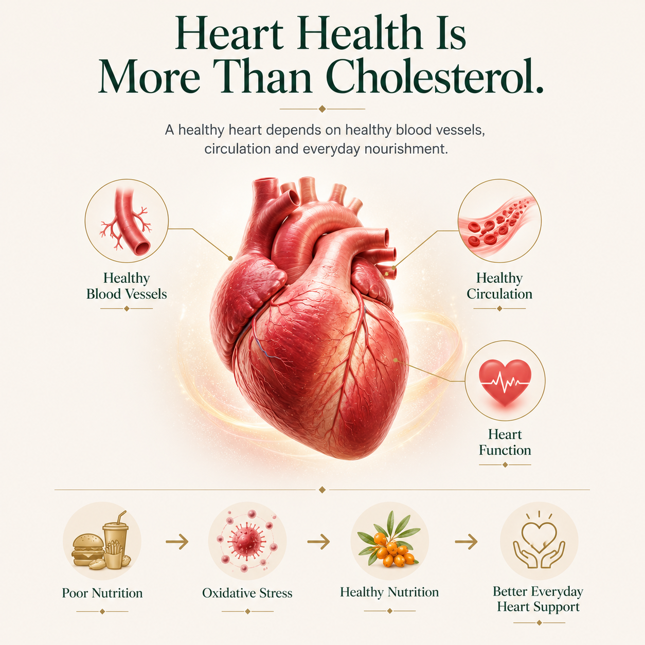 [Pre-Order Registration] Vansaar 45+ Sea Buckthorn Juice for Heart Health | Dual Fraction Technology™ | Supports Cardiovascular Wellness & Blood Vessel Health