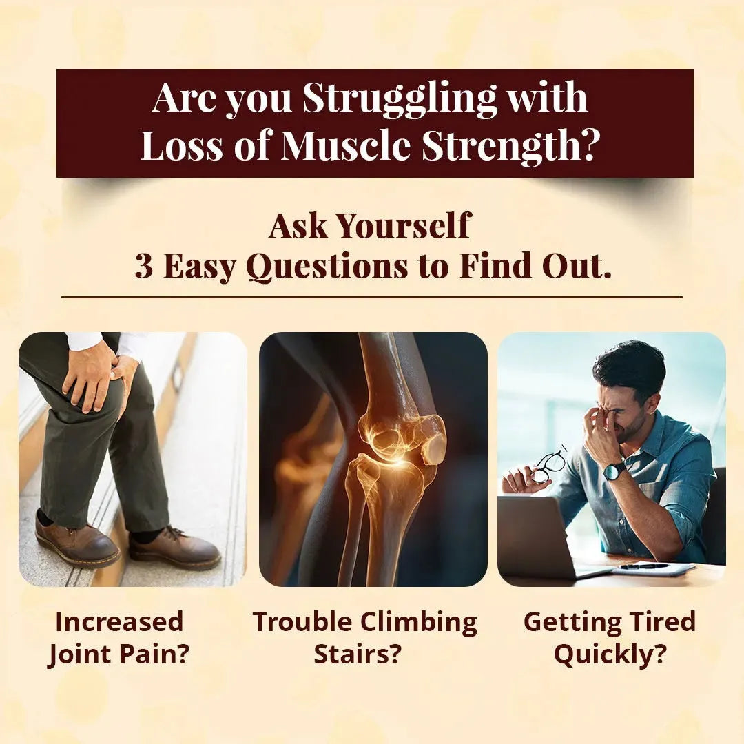 Pro-Strength Nutrition | Regain Strength & Energy - Vansaar