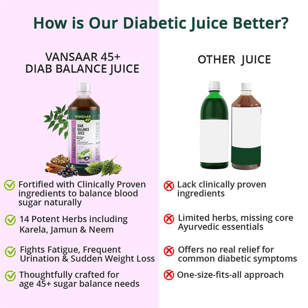 Diab Balance Juice with Paneer Doda & Cinnamon | For Blood Sugar Balance & Healthy HbA1c Levels